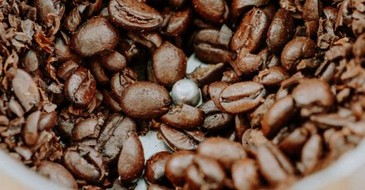 best grinder for cold brew
